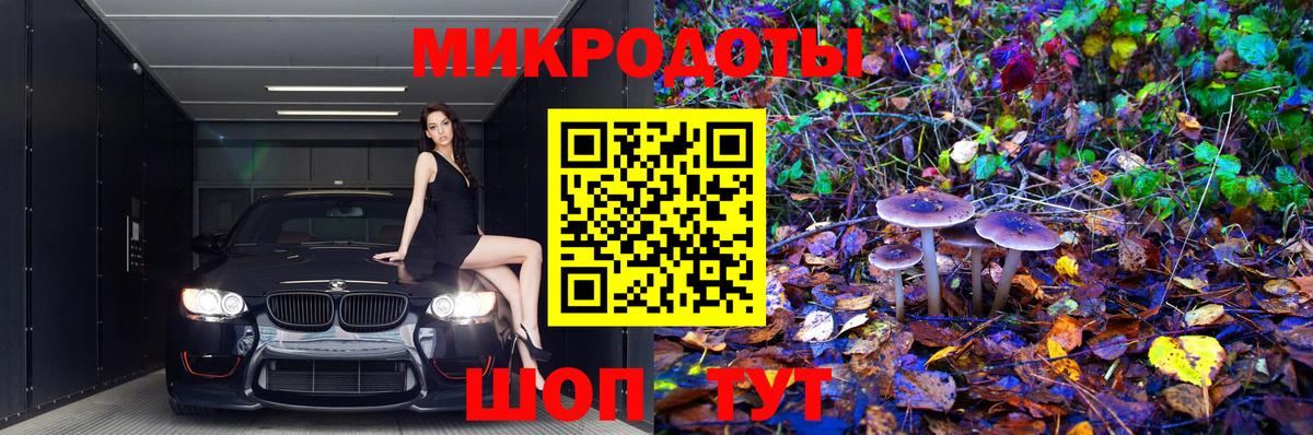 Псилоцибиновые грибы ЛСД Электрогорск